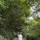 워커힐 피자힐 후기｜워크인 방문, 에노테카 와인 콜키지 프리 + 럭스바｜ 금요일 공연