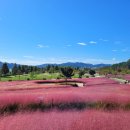 신소양천 이미지