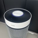 한국체대 진 태권도장 이미지