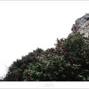 2024/03/02(토요06:30) 1053차 달마산(달마고도트레킹) & 땅끝마을 & 두륜산[전남 해남] 이미지