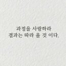 점핑도전다이어트