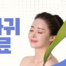 테라필의원 네이버블로그