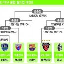 2009 FIFA 클럽 월드컵 in UAE (월드 챔피언스리그 격) 이미지