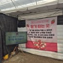 시전농장 | [용인 아이랑 체험] 헤븐온어스 딸기체험 가오픈 기간 후기 (버섯체험 용인 체험농장 동물체험