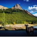 수문밥집 이미지