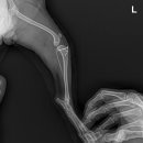 (주)라온메디칼 이미지