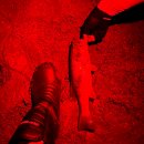 고삼지 | 경기도 안성 고삼지 야습 배스 낚시 후기(feat.더블 히트)