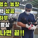최종영농장 네이버블로그