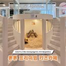 톤톤프리미엄키즈카페