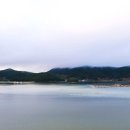 산도달도
