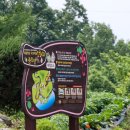 도화리 마을회관 이미지