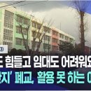 비안도초 이미지