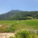 남울진농협평해지점 이미지