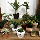 고강지역 도시재생 뉴딜사업 이미지