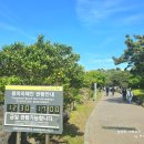 안덕면 용머리 공영주차장 입구 네이버블로그