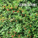 지리산 둘레길 하동군 서당~하동읍(오전), 원부춘~대축(오후) 속풀이 치유 산행기 [260822, GPX 유첨] 이미지
