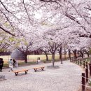 금관대로1368번길 이미지