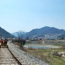 정선양떼목장 이미지