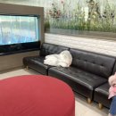 금강소아청소년과 이미지