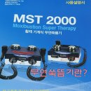 황제쑥뜸기 이미지