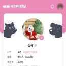 영림약국 | 내 주변 동물약국 찾기 - 펫팜 사용 후기