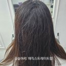 나비헤어 익산영등점