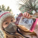 환금휘트니스 | 빙그레 더단백 파우더 헬린이 프로틴 추천! 맛있고 간편하게