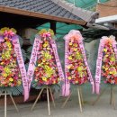 개인택시(김영수) 이미지