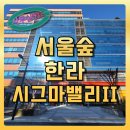서울숲한라시그마밸리2차 | 성수동 성수역 사무실임대 서울숲 한라시그마밸리 2차 지식산업센터 정보