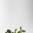 여수남면우체국 이미지