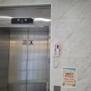나우 현내과의원 네이버블로그