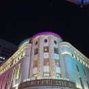 세상을 배우는 수어 | 나는 권리가 있어. 그리고 나는 대박이야.ㅣ20250919 젤리피쉬 자첫자막