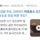 이프로스 이미지