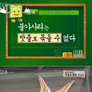 불가사리 이미지