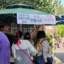 신아재활원 | 신아원(송파 거여동) 바자회 후기