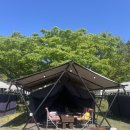 구름포해수욕장 | 구름포해수욕장 글램핑 후기