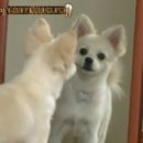 길구농장 이미지