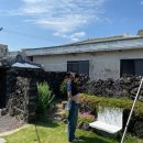 애월류가 이미지