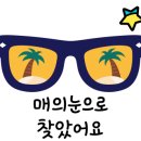황금 펫 수제간식 이미지