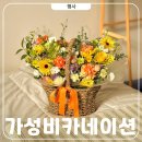 꽃블리안양범계역점 | 안양꽃집 꽃바구니 어버이날 카네이션 꽃블리 범계 가성비좋음