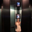 피씨카페티 | 시드니에서의 일주일 🐨 1 (little national hotel 후기, 패디스마켓, QVB, 록스마켓, 휴버트 재즈바)