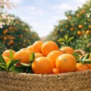 부자유통 이미지