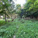 양명초교 이미지