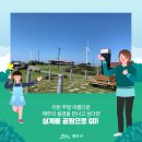 신창싱계물 이미지