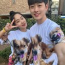 단체티 주문제작 반려동물 티셔츠 얼굴 이벤트 단티 소량 제작 후기