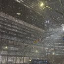 페이스오프 | 용산구 맛집 용리단길 피자페이스오프 후기 / 엄마딸 데이트 맛집으로 추천🫶