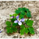 강인한농장 이미지