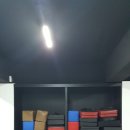 조정희 태권도 이미지