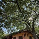 1004-11카페 이미지