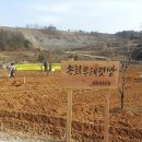 송화협동조합